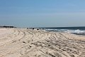 IMG_9260_edited-1