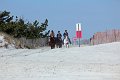 IMG_9261_edited-1