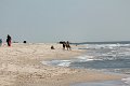 IMG_9264_edited-1
