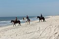 IMG_9269_edited-1
