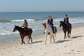 IMG_9275_edited-1