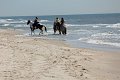 IMG_9286_edited-1