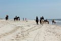 IMG_9287_edited-1