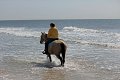 IMG_9292_edited-1