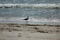 IMG_9298_edited-1