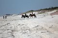 IMG_9303_edited-1