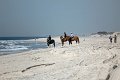 IMG_9304_edited-1