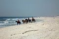 IMG_9305_edited-1