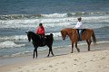 IMG_9310_edited-1