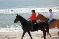 IMG_9314_edited-1