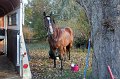 IMG_8463_edited-1
