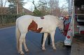 IMG_8464_edited-1