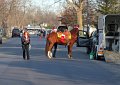 IMG_8465_edited-1