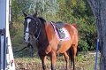 IMG_8466_edited-1