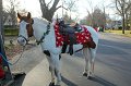 IMG_8468_edited-1