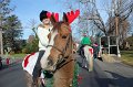 IMG_8493_edited-1
