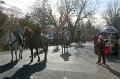 IMG_8498_edited-1