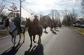 IMG_8500_edited-1