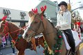 IMG_8515_edited-1