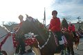IMG_8523_edited-1