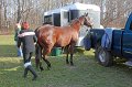 IMG_8527_edited-1