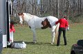 IMG_8528_edited-1