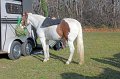 IMG_8529_edited-1