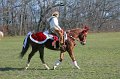 IMG_8533_edited-1