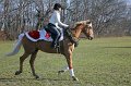 IMG_8534_edited-1
