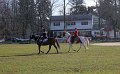 IMG_8536_edited-1