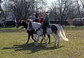 IMG_8541_edited-1