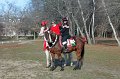 IMG_8548_edited-1