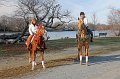 IMG_8550_edited-1