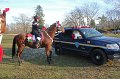 IMG_8557_edited-1
