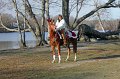 IMG_8560_edited-1