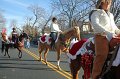 IMG_8574_edited-1