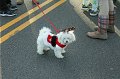 IMG_8587_edited-1