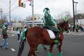 IMG_9245_edited-1