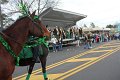 IMG_9247_edited-1