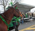 IMG_9248_edited-1