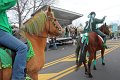 IMG_9251_edited-1