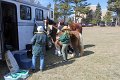 IMG_9084_edited-1