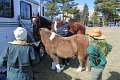 IMG_9085_edited-1