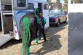 IMG_9088_edited-1