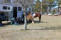IMG_9089_edited-1