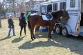IMG_9094_edited-1