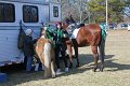 IMG_9096_edited-1