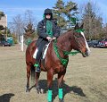 IMG_9106_edited-1