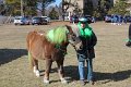 IMG_9107_edited-1