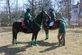 IMG_9108_edited-1